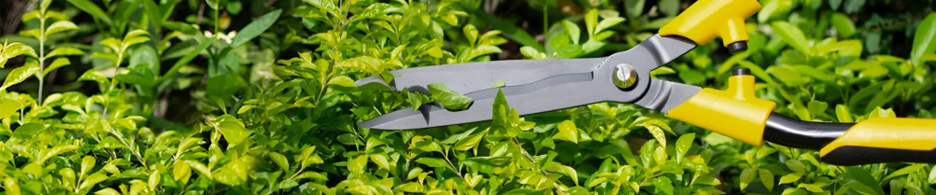 5 loại kéo cắt SIÊU HOT của Stanley mà bạn không thể bỏ qua