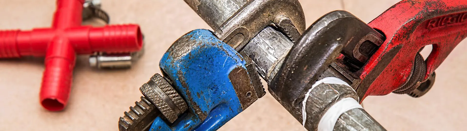 “Giải mã” công năng của mỏ lết răng - Tecostore.vn