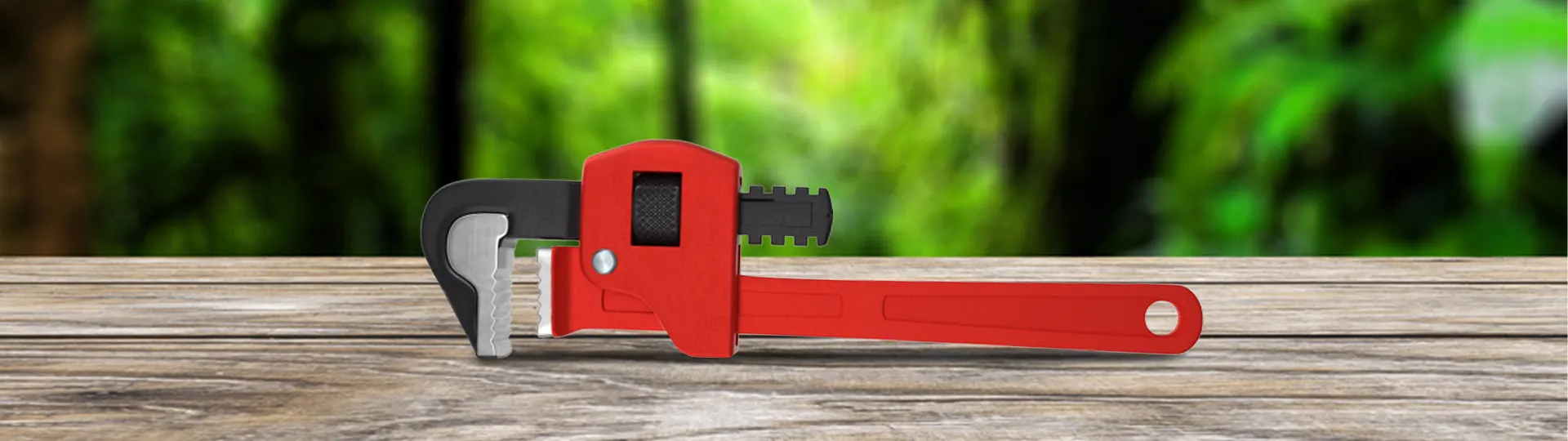 Mỏ lết răng là gì? Phân biệt mỏ lết răng và mỏ lết thường Mỏ lết răng là gì? Phân biệt mỏ lết răng và mỏ lết thường