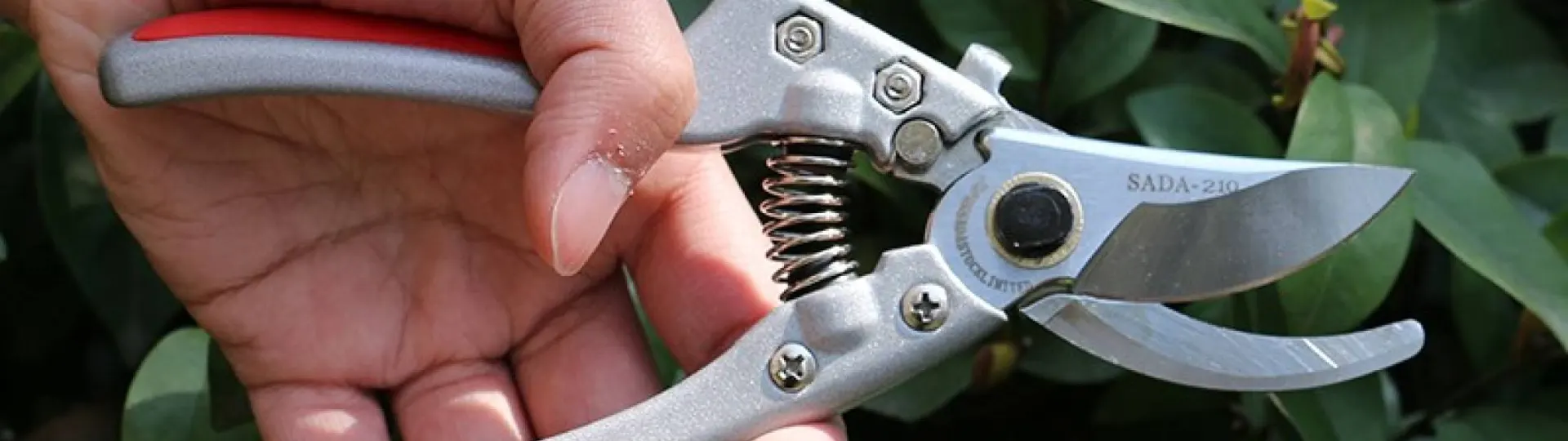 Kéo cắt cành Nhật có tốt không? Nên mua kéo cắt ở đâu uy tín Kéo cắt cành Nhật có tốt không? Nên mua kéo cắt ở đâu uy tín