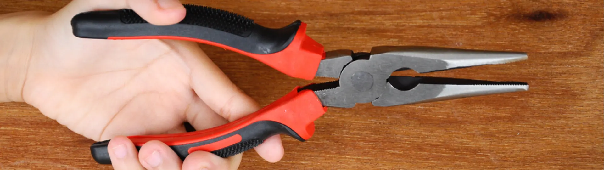 Kìm nhọn và những điều thú vị mà bạn chưa biết